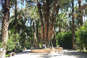 Alicante: UNESCO Heritage Palm grove + Artistic Garden Tour