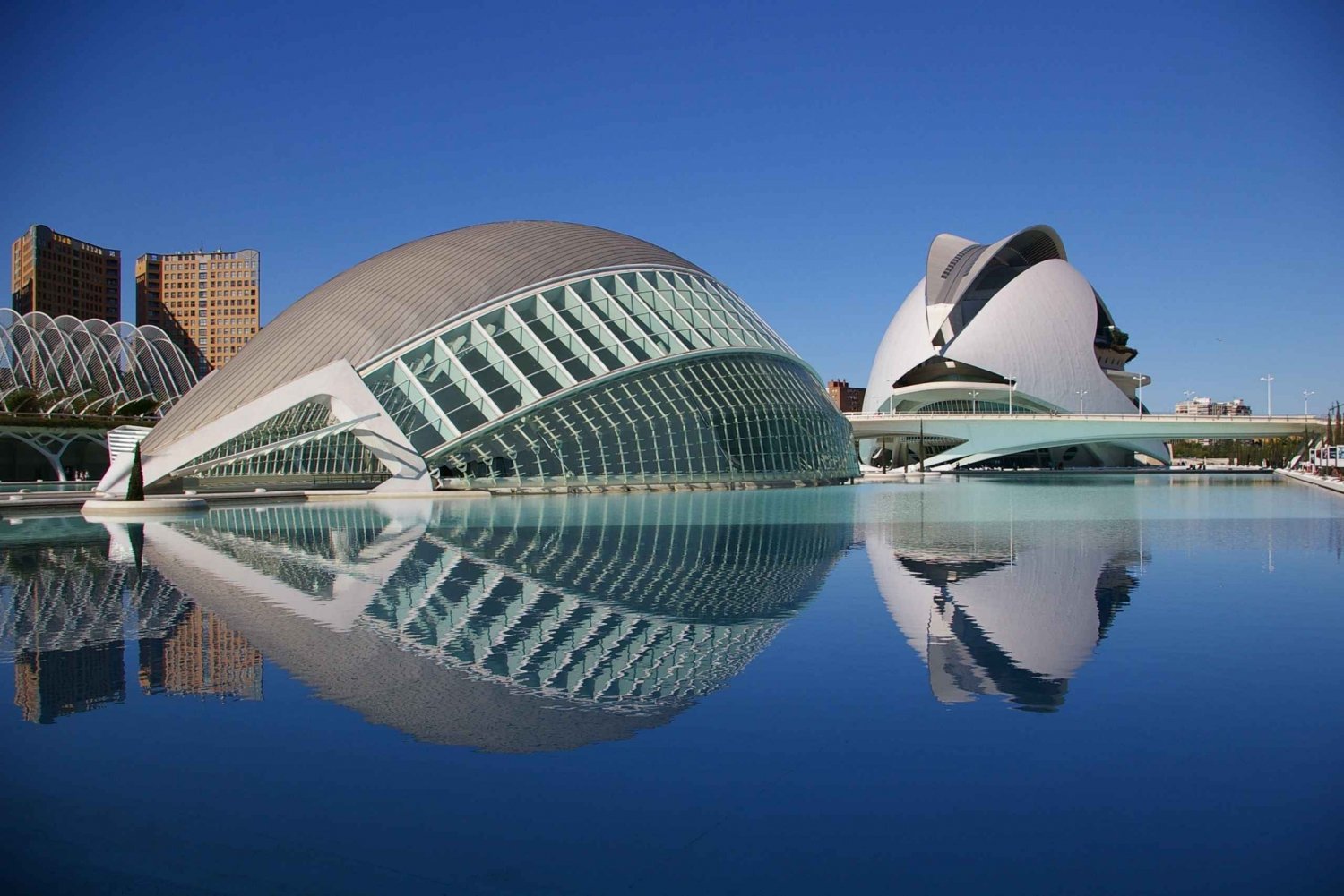 From Alicante: Valencia Full-Day Guided Tour