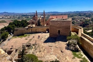 Alicante: Viinikierros 3 viinin maistajaisella ja La Mola -linna