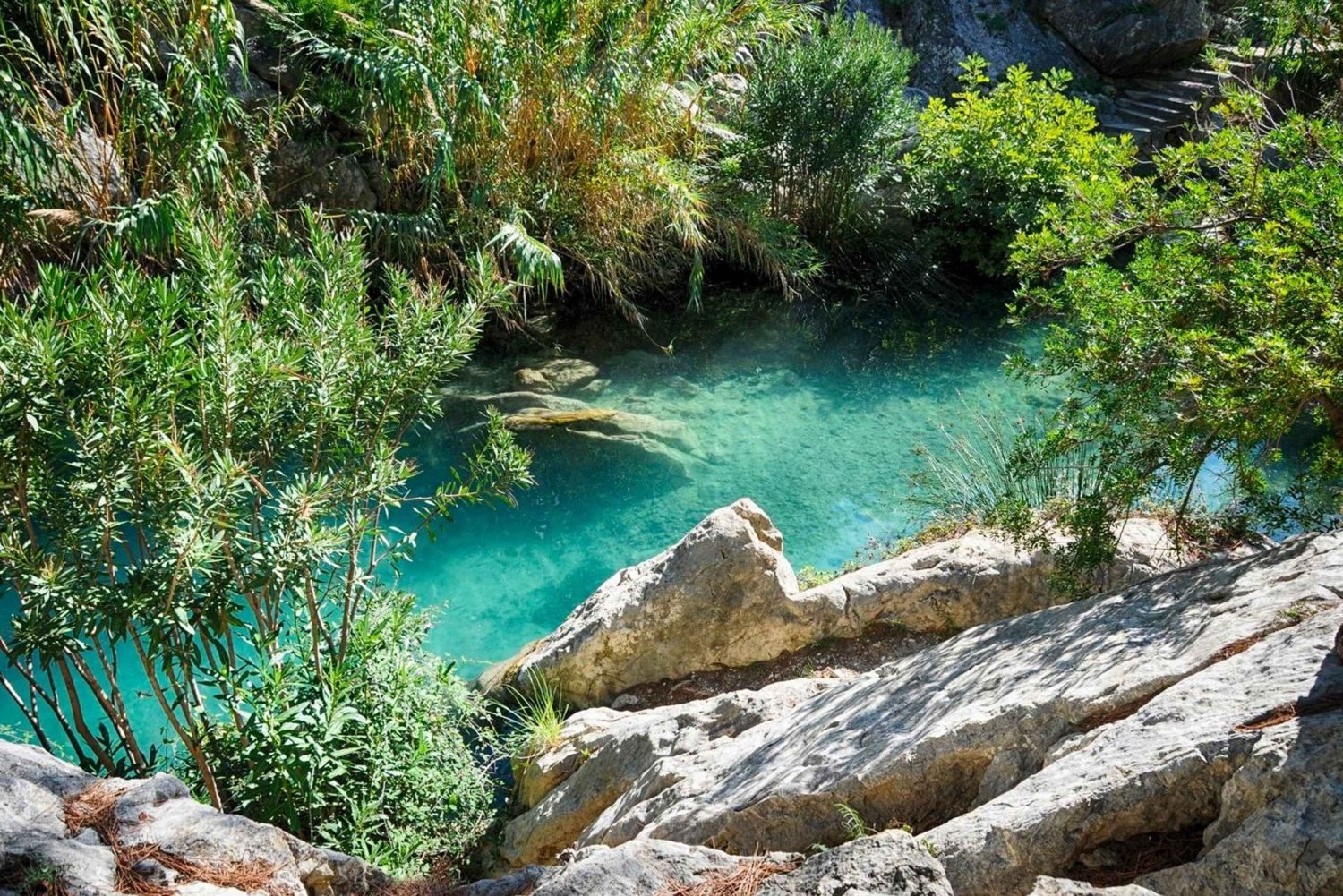 From Alicante and Benidorm: Visit to Fuente de Algar (transport included)