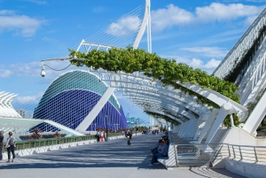 Depuis Alicante, visitez : Valence centre