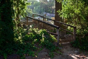 Из Аликанте: тур с гидом по Хативе и Анне