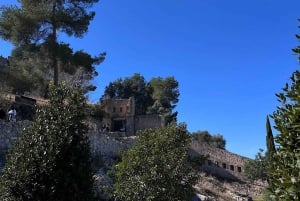 Fra Alicante: Privat dagstur til Xátiva med slottsbesøk