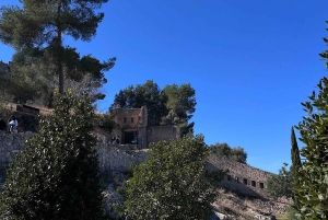 Из Аликанте: частная однодневная поездка в Хативу с посещением замка