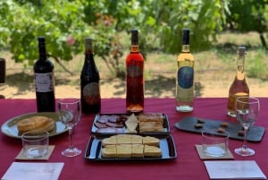 From Alicante & Elche: Wine guided tour - Tasting & snacks