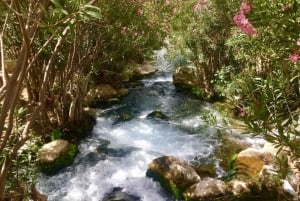 From Benidorm or Albir: Algar Waterfalls and Guadalest