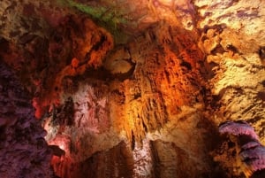 From  Day Trip to Canelobre Caves