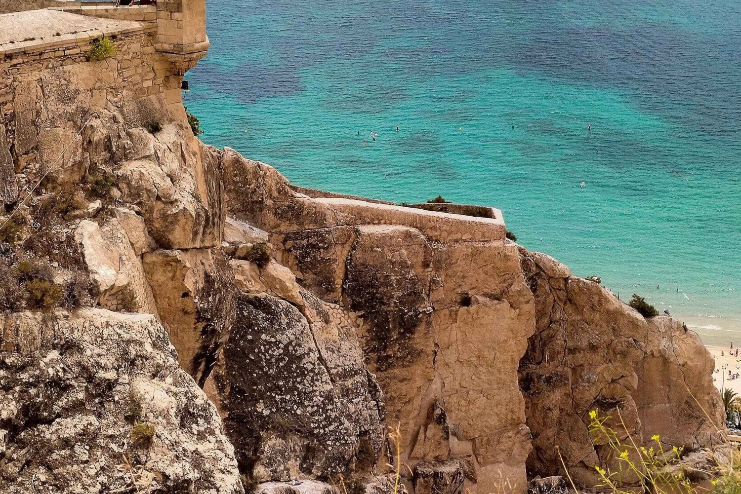 Desde Valencia: Alicante con tour guiado con guía local
