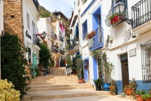 Desde Valencia: Alicante con tour guiado con guía local