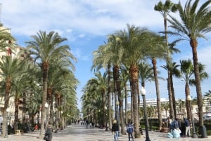Desde Valencia: Alicante con tour guiado con guía local