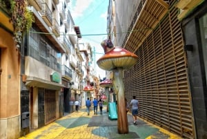 Desde Valencia: Alicante con tour guiado con guía local