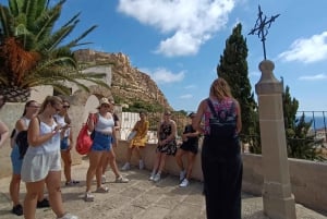 Desde Valencia: Alicante con tour guiado con guía local