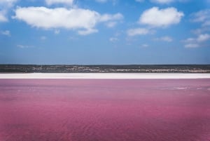 Vanuit Valencia: Laguna Rosa en Alicante, kleuren, zee en zon