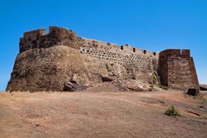 Vanuit Valencia: Laguna Rosa en Alicante, kleuren, zee en zon