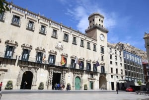 Z Walencji: Prywatna jednodniowa wycieczka do Alicante z lokalnym przewodnikiem