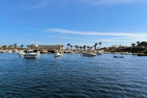 De Valência: Ilha de Tabarca