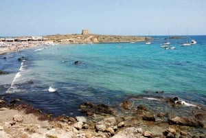 De Valência: Ilha de Tabarca