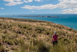 Guided tour Santa Pola Bonita, half day with transfer and snack included.