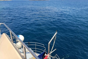 Javea: Portitxol Island Motor Catamaran Trip with Paella
