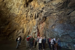Jijona: visita à fábrica de torrão com degustação e às grutas de Canelobre