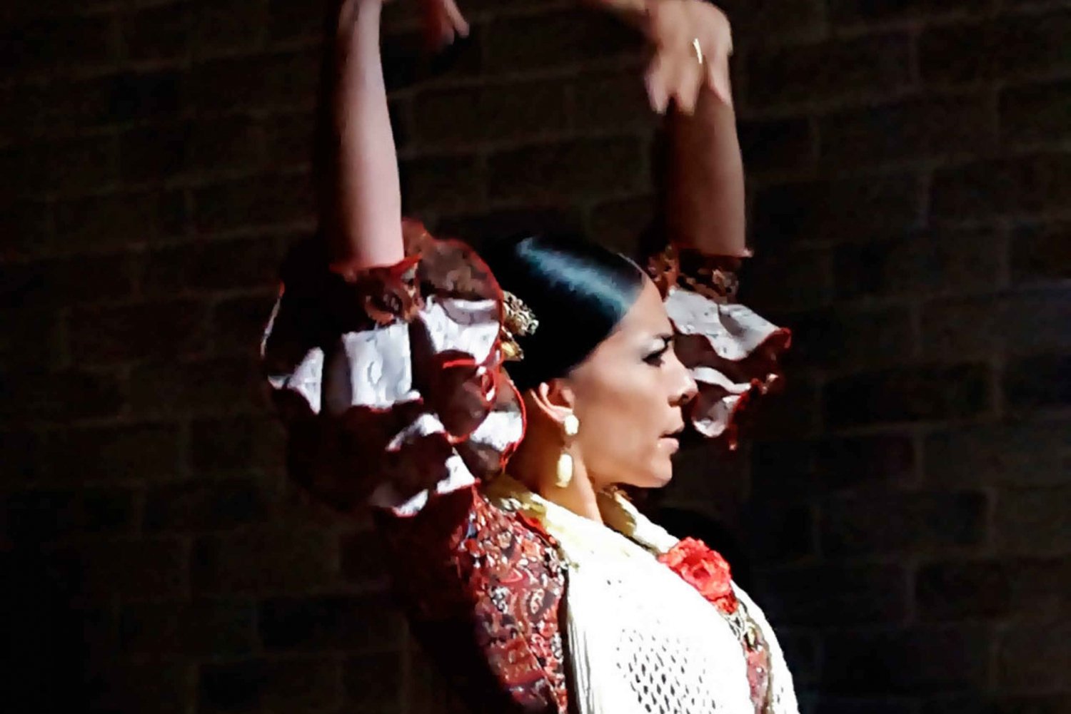  Live Flamenco Show and Tapas Dinner Combo