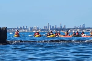 Morro de Toix: kayak trip