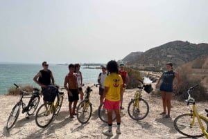 アリカンテ：カラスとビーチの電動自転車ツアー、シュノーケリング付き