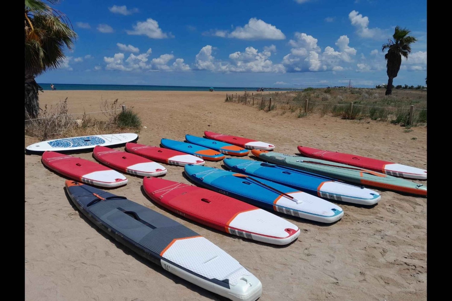 Paddle Surf Delivery Boards