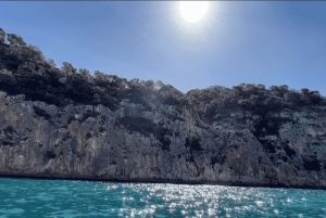 Paddle Surf Delivery Boards