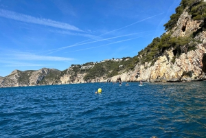 Paddle Surf Delivery Boards