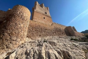 Premium-vingård med 7 vinsmagninger og slot fra Alicante og Benidorm