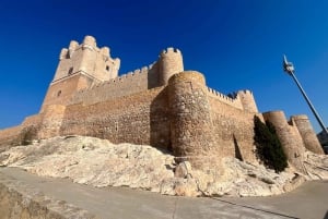 Premium-vingård med 7 vinsmagninger og slot fra Alicante og Benidorm