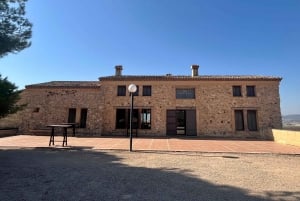 Premium-vingård med 7 vinsmagninger og slot fra Alicante og Benidorm