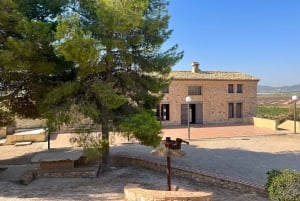 Premium-vingård med 7 vinsmagninger og slot fra Alicante og Benidorm