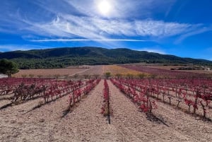 Private Wine Tour to the Costa Blanca Wineries