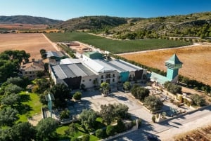 Private Wine Tour to the Costa Blanca Wineries