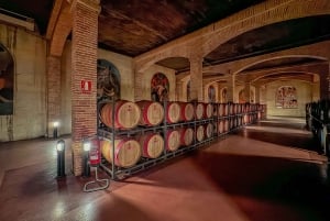 Private Wine Tour to the Costa Blanca Wineries