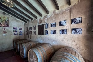 Private Wine Tour to the Costa Blanca Wineries