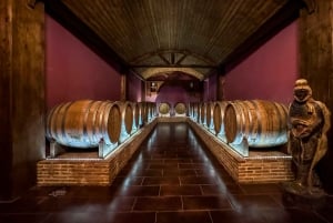 Private Wine Tour to the Costa Blanca Wineries