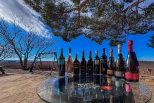 Private Wine Tour to the Costa Blanca Wineries