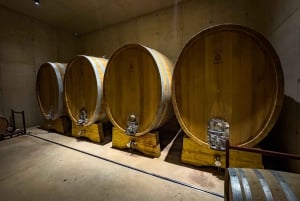 Private Wine Tour to the Costa Blanca Wineries