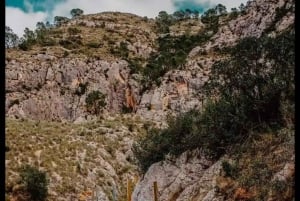 レリェウの吊り橋と村の本格的な味覚（送迎付き）