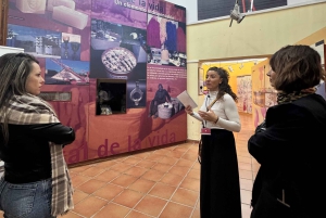 Visit Altea and Craft Beer Factory with Tapas by Van from Alicante