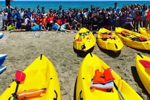 Alquiler de kayak doble 2 horas y snorkel + tapa y bebida