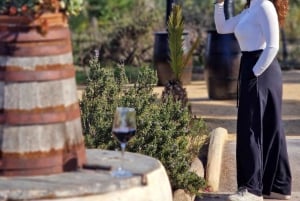 Santa Pola and Elche Wine Route, half day, small groups