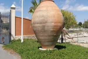 Santa Pola, Gran Alacan, Urbanova: Guided Wine Tasting Tour