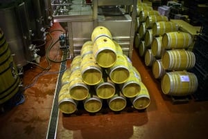 Santa Pola, Gran Alacan, Urbanova: Guided Wine Tasting Tour