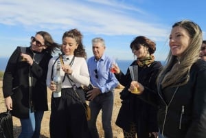 Paraglidingäventyr i Santa Pola från Alicante med upphämtning i minibuss