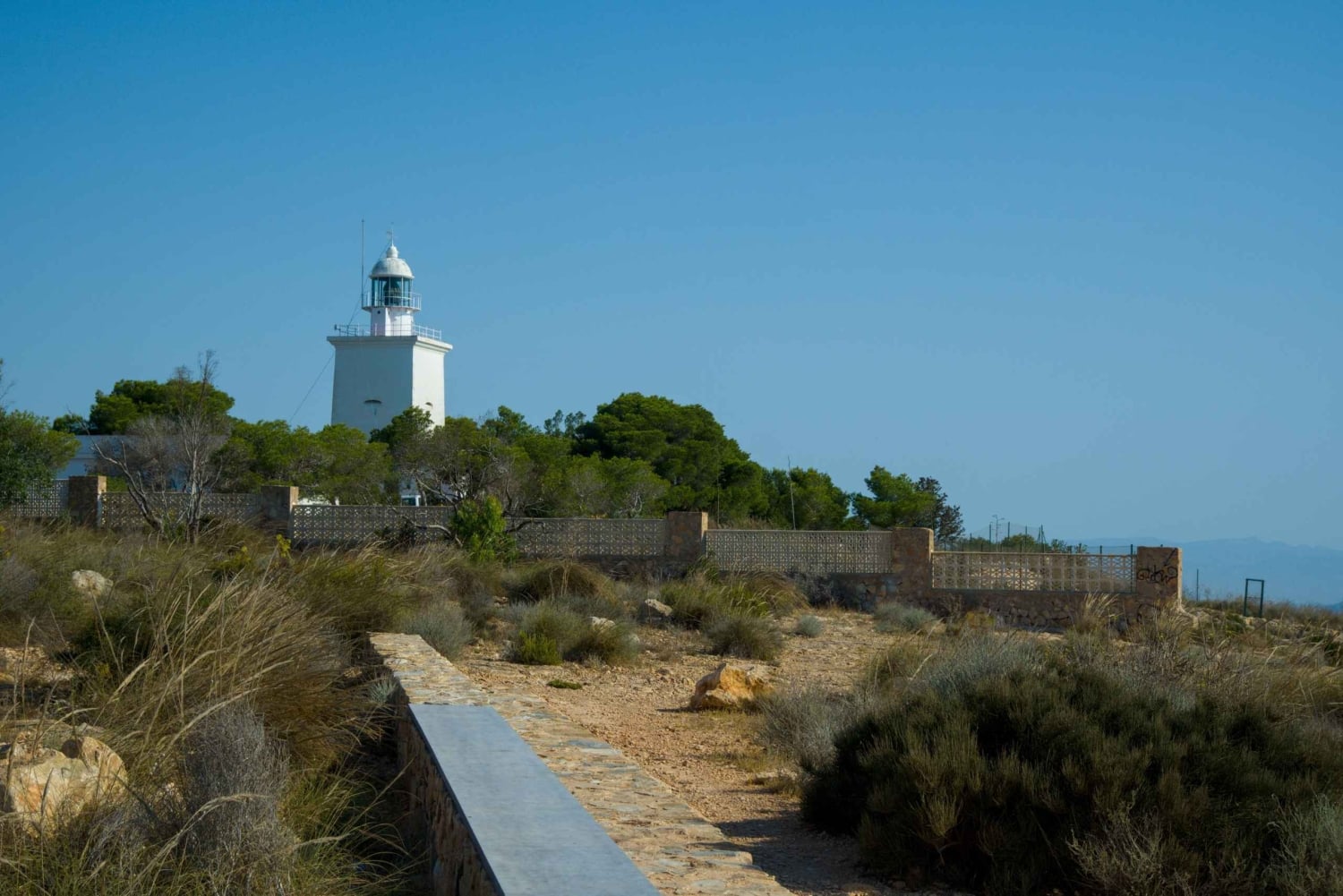 Torrevieja: Lokal marknad och panoramisk tur