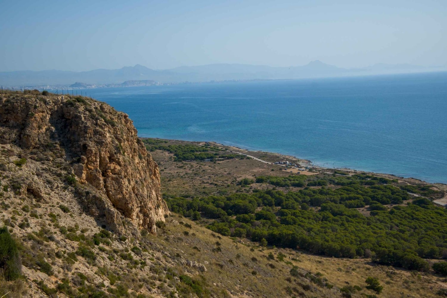 Torrevieja: Lokal marknad och panoramisk tur